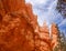 Bryce canyon