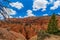 Bryce Canyon Ampitheater from Sunset Point