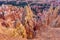 Bryce Canyon Hoodoo Landscape