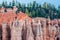 Bryce Canyon Hoodoos close-up background pattern