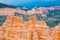 Bryce Canyon Hoodoos close-up background pattern