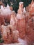 Bryce Canyon Hoodoos Closeup