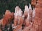 Bryce Canyon Hoodoos Closeup