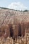 Bryce Canyon Hoodoos with Cloudy Sky Landscape