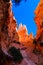 Bryce Canyon hoodoos seen from below