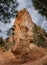 Bryce Canyon hoodoos, Utah