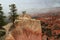 Bryce Canyon Ledge