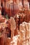 Bryce Canyon National Park