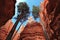 Bryce Canyon National Park, Douglas Firs in Wall Street along Navajo Trail, Southwest Desert, Utah