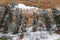 Bryce Canyon National Park Hoodoo Forest Winter Snow View
