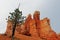 Bryce Canyon National Park, Hoodoos landscape