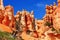 Bryce Canyon National Park, Hoodoos in Queens Garden, Utah, USA