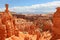 Bryce Canyon National Park landscape, Utah, USA