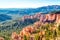 Bryce Canyon National Park during a Sunny Day, View from Farview Point, Utah