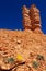 Bryce Canyon National Park typical hoodoo landscape