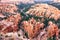 Bryce Canyon National Park, Utah, USA, incredibly colorful scenery, beautiful natural landscape. Concept, tourism, travel,