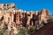 Bryce Canyon - Old tree Bristlecone Pine (Pinus longaeva) with panoramic on sandstone rock formations in Bryce Canyon, USA