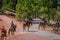 BRYCE CANYON, UTAH, JUNE, 07, 2018: Outdoor view of group of tourists riding a horse in a sand road in Bryce Canyon