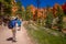 BRYCE CANYON, UTAH, JUNE, 07, 2018: Unidentified people taking pictures of of pinyon pine tree forest in Bryce Canyon