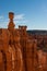 Bryce Hoodoos