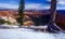 Bryce National Park with snow