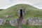 Bryn Celli Ddu prehistoric passage tomb. Entrance shown.