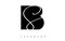 BS B S Black and Silver Letters Logo with a geometric design. Icon with two different fonts