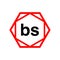 BS hexagon typography monogram vector. BS brand name icon