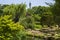 BT Tower and Japanese Island Garden in Regents Park
