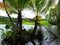 Buada lagoon in Nauru 3rd smallest country in the world in Nauru- 3rd smallest country in the world, South Pacific