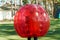 Bubble football sport game. Football players play bumperball on the green field. Team building. Man in bubble balloon