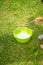 Bubbles of dishwashing liquid in a bowl of garden in the park