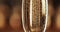 Bubbles, gold and closeup of glass with champagne for party, celebration and event with nobody. Wedding, birthday or