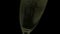 Bubbles rising in champagne glass