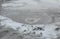 Bubbling crater of a mud volcano. Close up view onto gas bubble exploding in crater of mud volcano. Mud volcano at Paclele Mari,