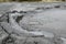 Bubbling crater of a mud volcano. Close up view onto gas bubble exploding in crater of mud volcano. Mud volcano at Paclele Mari,