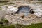 Bubbling hot spring in the Black Sand Basin of Yellowstone National Park