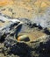 Bubbling mud volcano