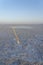 Bubbling pond in the salt plains of Asale Lake in the Danakil Depression in Ethiopia, Africa