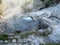 Bubbling and steaming hot spring, Furnas, The Azores