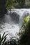 Bubbling stream of mountain river in the jungle