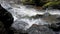 A bubbling stream in the pacific northwest