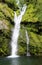 bubbling waterfall in the middle of the luxuriant vegetation