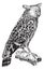 Bubo ketupu or Buffy fish owl, vintage engraving