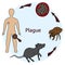 Bubonic plague. Scheme of infection with a plague bacterium: rat - flea - man in a blue circle