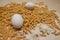 Bucati fusilli raw pasta, eggs, and flour