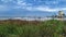 Buceo Port Landscape, Montevideo, Uruguay