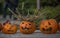 Bucharest Pumpkin Festival, Halloween