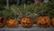 Bucharest Pumpkin Festival, Halloween