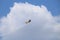 Bucharest, Romania 08 24 2019 plane performing aerobatic stunt at Bucharest International Air Show 2019